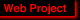 Projecto Web de Jenny Holzer
