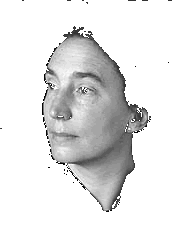 Retrato de Jenny Holzer