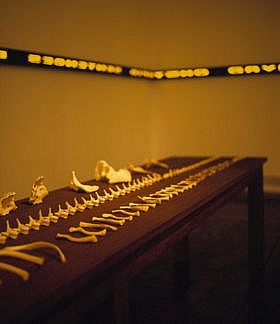 Jenny Holzer Lustmord