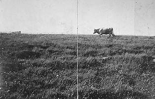 Anselm Kiefer | L'Auvergne, 1996