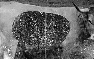 Anselm Kiefer | L'Auvergne, 1996
