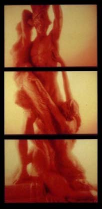 Andres Serrano. Rape of the Sabine Women I, II, III