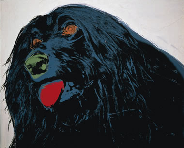 ANDY WARHOL Perro, 1976