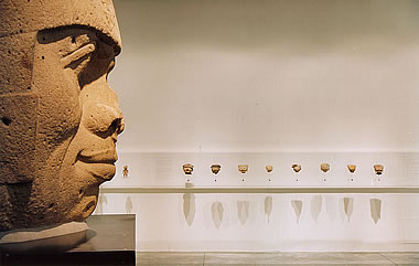 Vista de la exhibicin