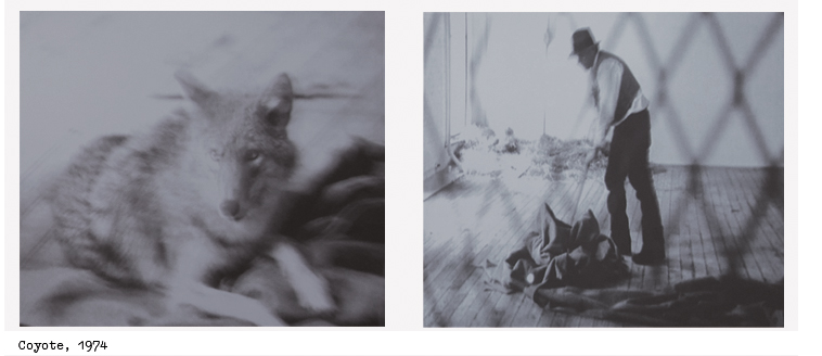 Joseph Beuys