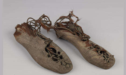 Pampas: Art and Culture from the 19th Century