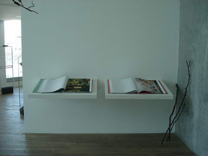 Belleza y Felicidad, 1997- 2009