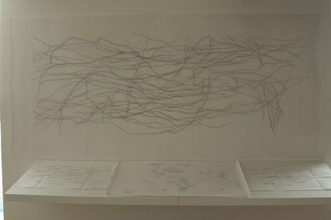 Mapas de poesía, 2009