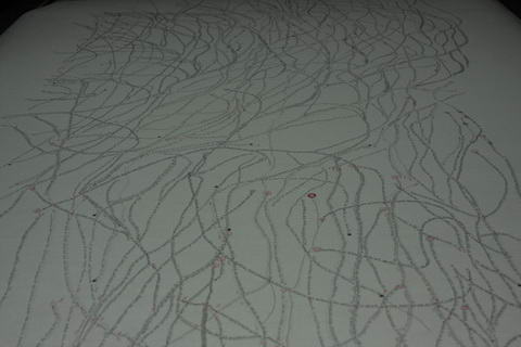 De los mapas al jardín, 2009