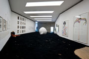 Room 4. Works by Cildo Meireles, Laura Lima, Marlene Dumas and Marina de Caro