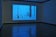 Art in the Auditorium II - Charly Nijensohn