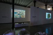Gallery 2. The Silver and the Cross (2010) / Parallel (2012)