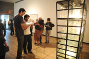 P&uacute;blico en sala 4