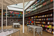 Library - Image 3