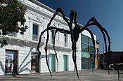 "Maman", by Louise Bourgeois arrived to Proa's esplanade