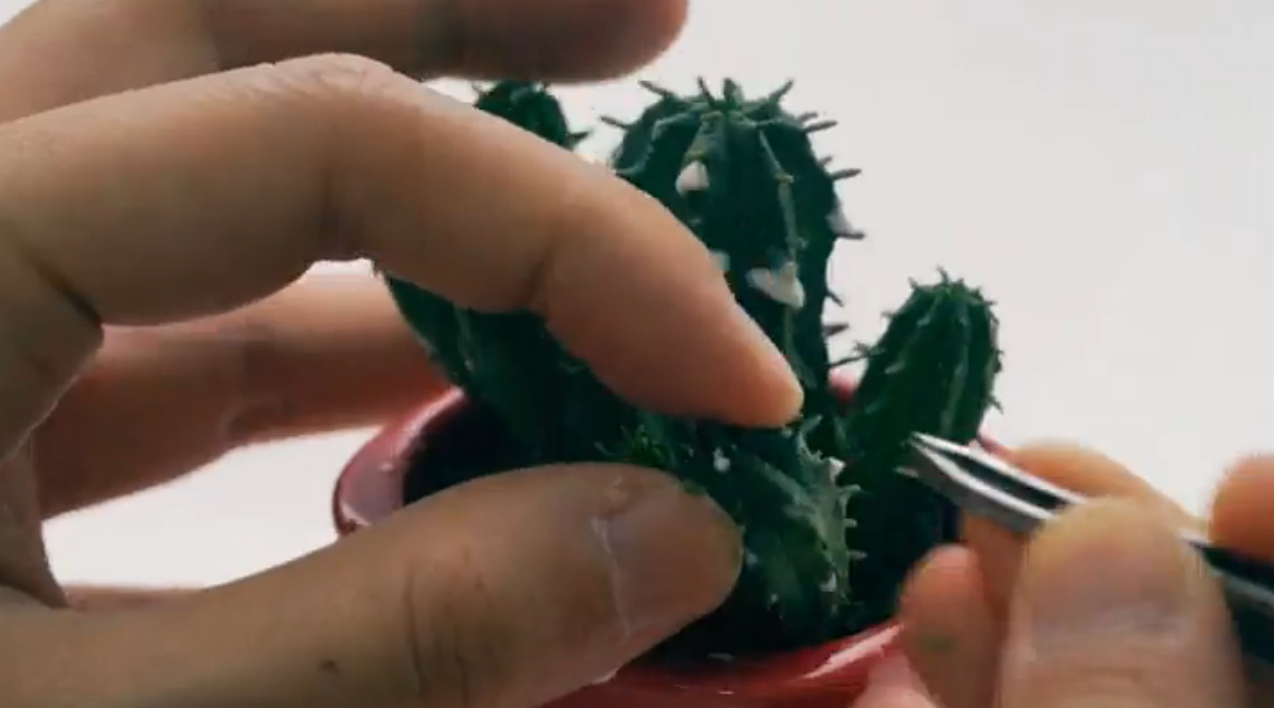 Artists Film International 2016:  Tecnolog&Atilde;&shy;a